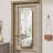 Full Length Mirrors Over The Door, 14'' x 48'' Hanging/Rectangular Wall Mirror