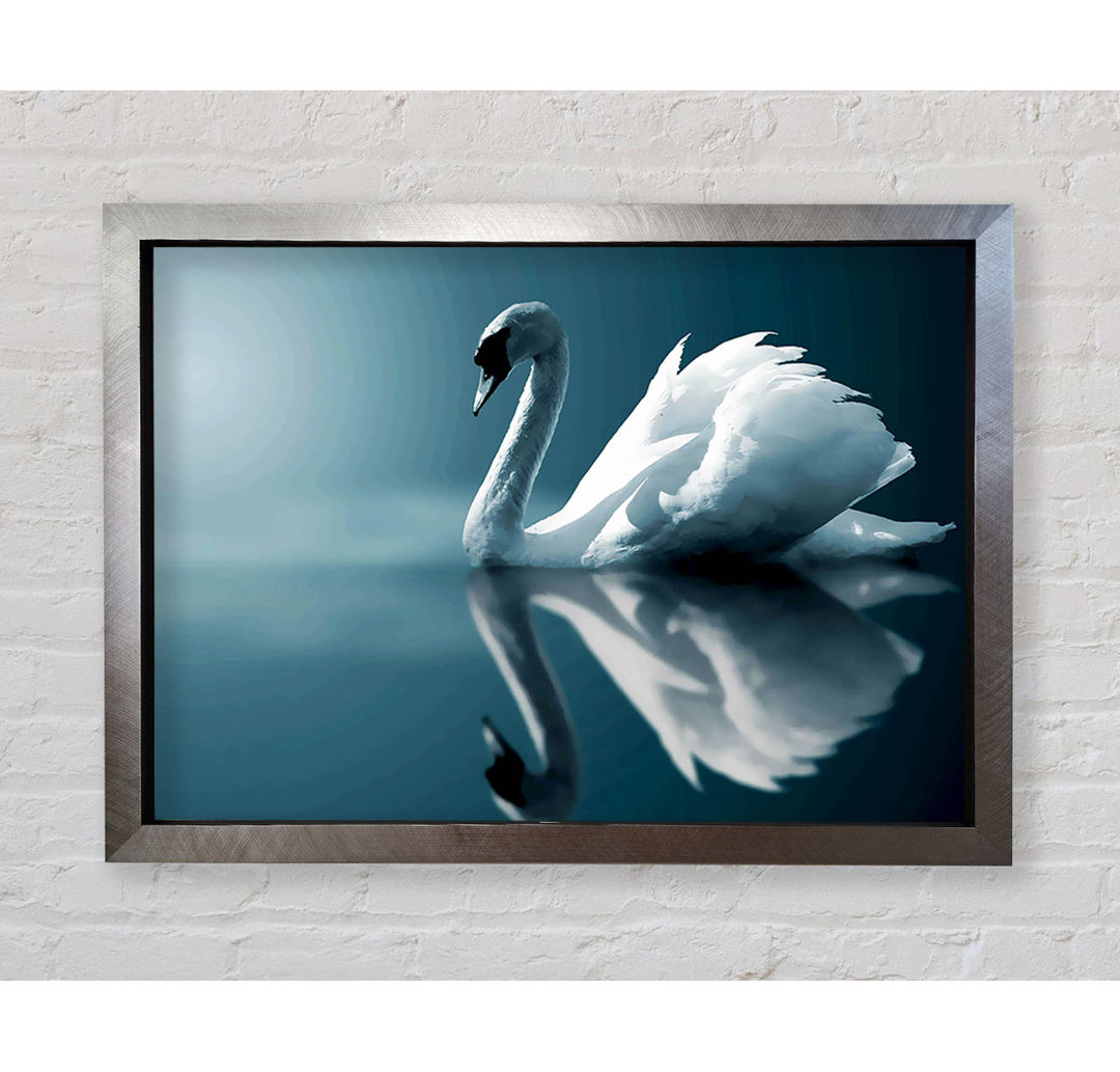 Reflections Of A Swan - Druck