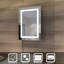 Tarrytown 500mm W 700mm H Surface Frameless Medicine Cabinet Mirror 2 Fixed