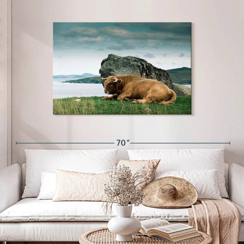 Brampt Highlander Bull, 30" H x 45" W