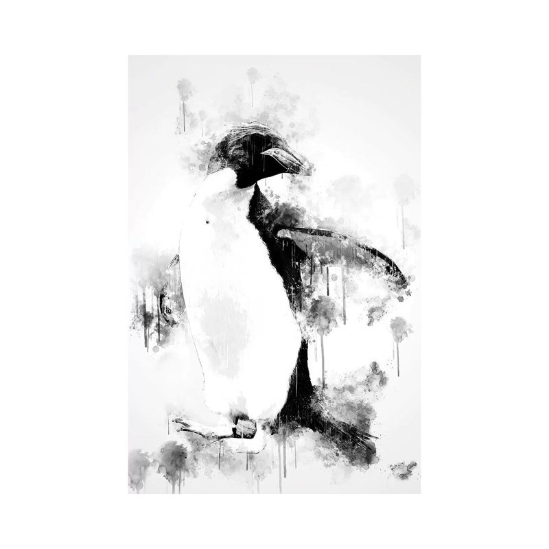 Macaroni Penguin In Black And White by Cornel Vlad - Wrapped Canvas Painting, 30.48cm H x 20.32cm W x 1.905cm D