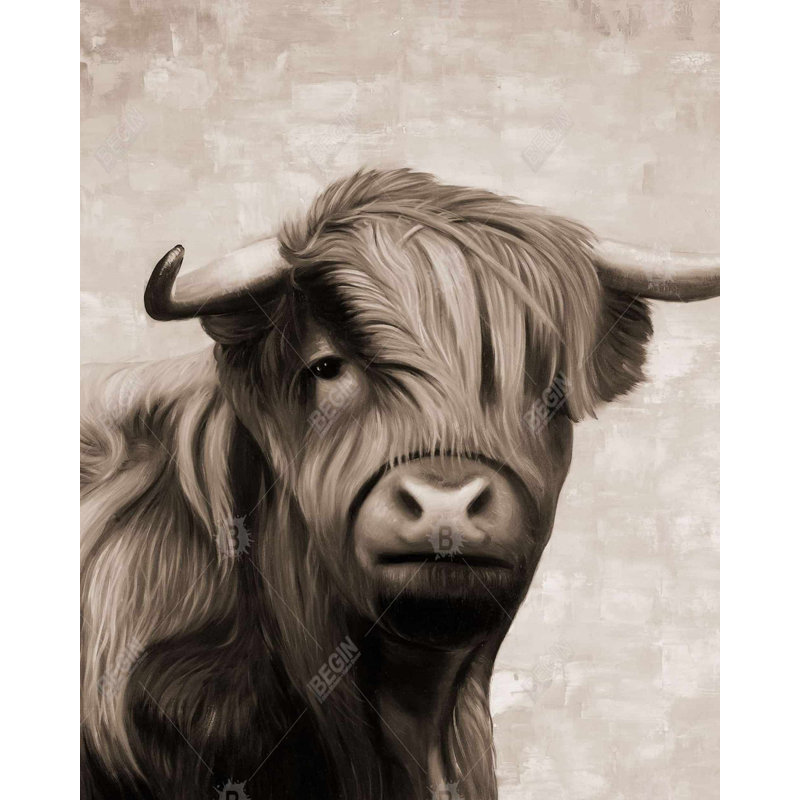 Toile de bœuf Highland