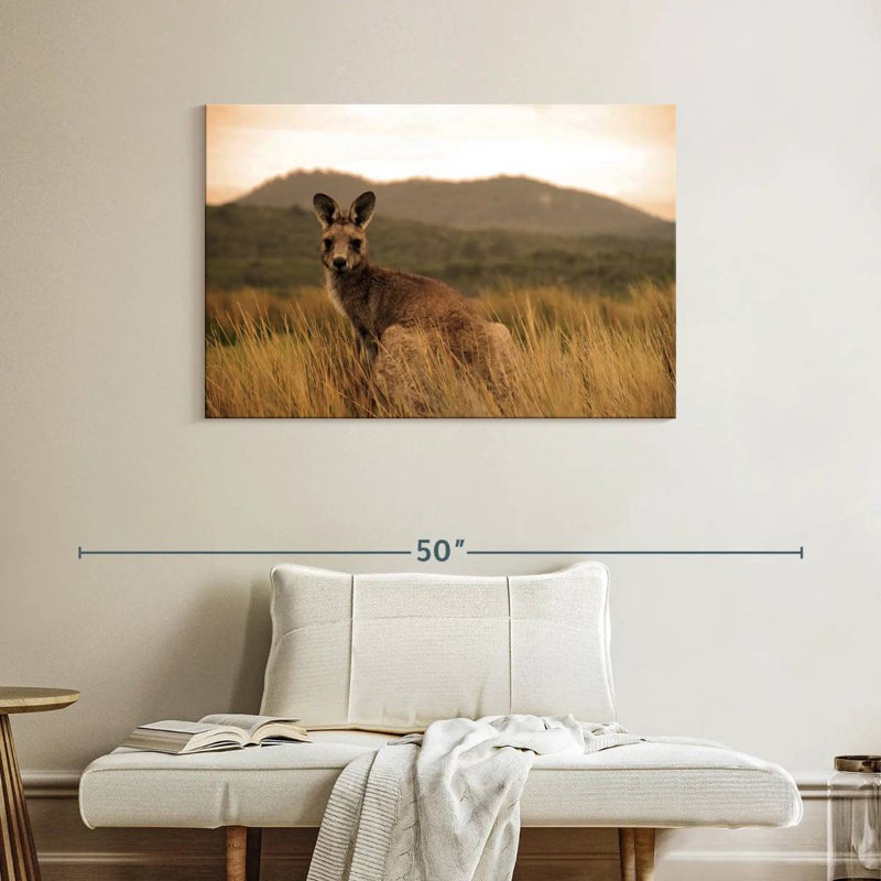 Brampt Wild Kangaroo