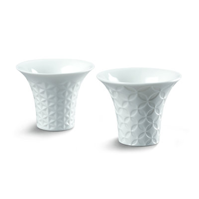 Ensemble de tasse à thé japonaise 2 pièces Hitoiki Sake