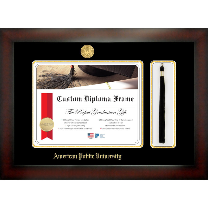 American Public University Picture Frame