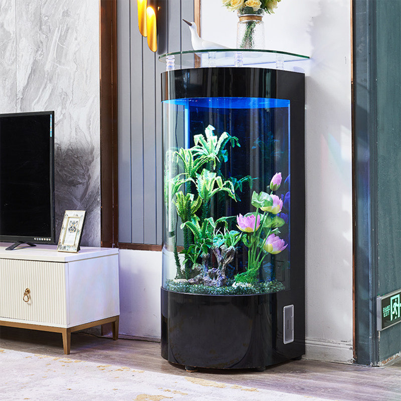 Aquarium 31,5 po, 66,04 gallons (H 54,33 po x l 31,5 po x P 19,69 po, Noir