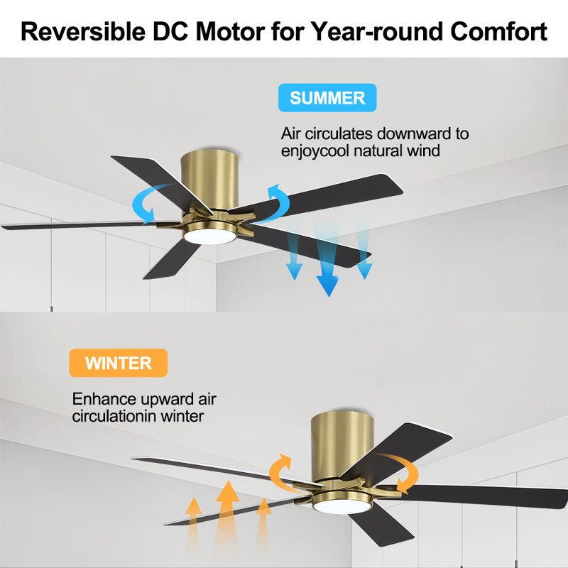 Dc Motor Indoor Flush Mount Ceiling Fan With Light Kit And Remote, Gold, Black/White, 52"