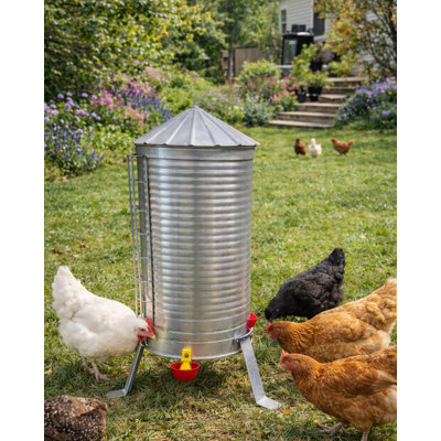 Silo Chicken Waterer