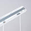 Bibianna 3 - Light Stainless Steel Pendant-2029369379