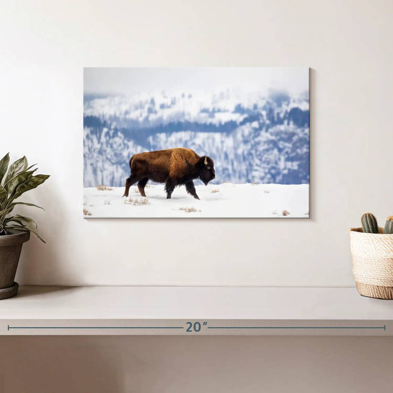 Brampt American Bison During Winter, 8" H x 12" W