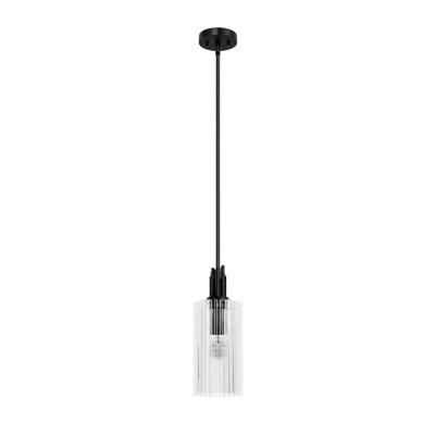 Mini-luminaire suspendu à 1 lumière Gatz