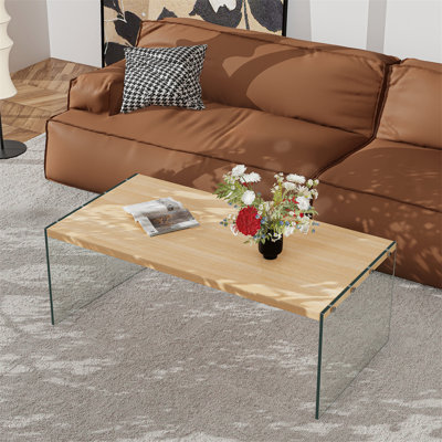 Tempered Glass Coffee Table Rectangle Coffee Table MDF Top Sofa Accent Table 120Cm