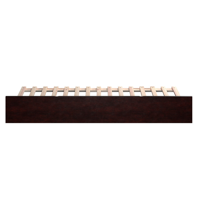 Lit gigogne escamotable en bois massif Rasnick, Espresso, Simple