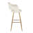 Contemporary Fixed-Height Barstool