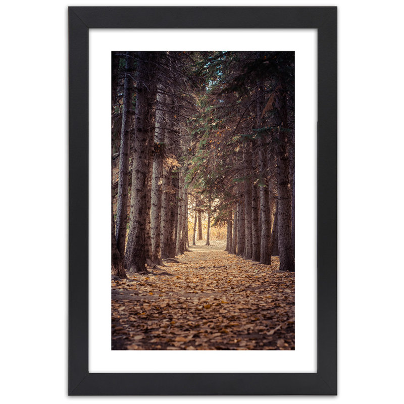 Forest In Autumn - Single Picture Frame Print, 30cm H x 20cm W, Black