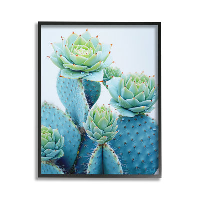 Cactus avec fleurs succulentes, estampe numérique encadrée par RB