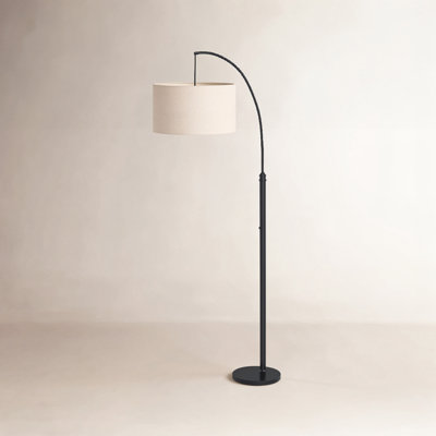 Finley 75.5 " Arched Floor Lamp