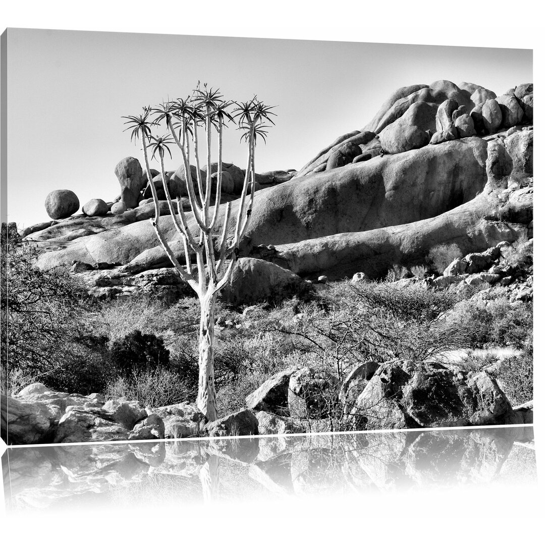 Leinwandbild Außergewöhnlicher Baum im Steingebirge in Monochrom