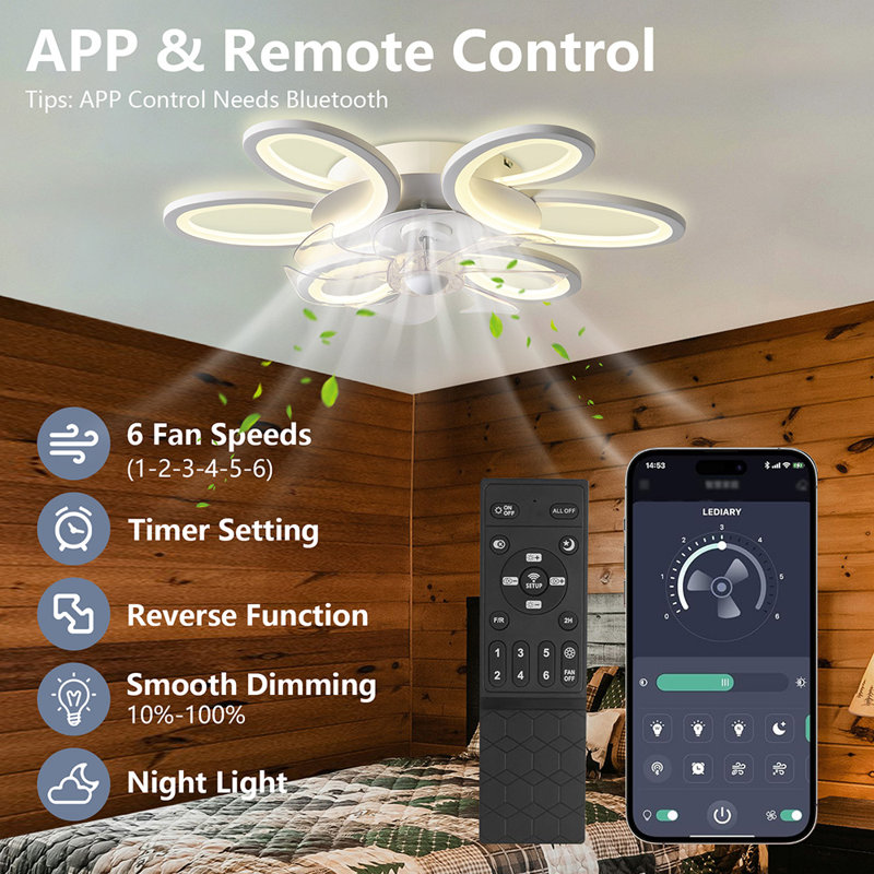 Ceallach Ceiling Fan with LED Lights