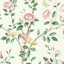 Rose/Cream