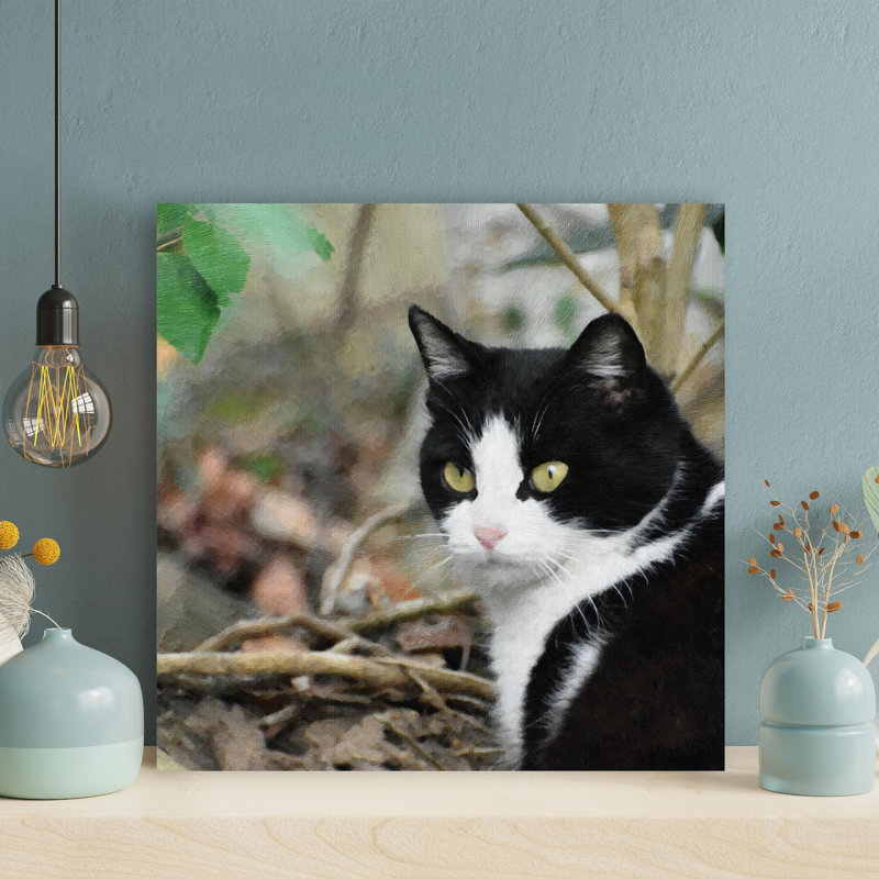 Chat blanc noir dans le jardin - Impression sur toile tendue carrée 1 pièce, H 32 po x l 32 po x P 2 po