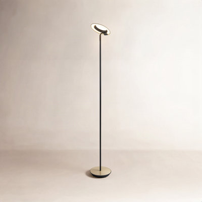 Royyo 45.5'' LED Floor Lamp