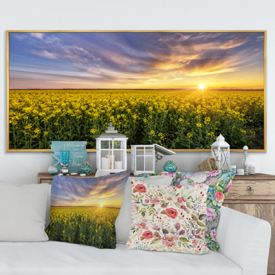 " Sunset Rape Fields "