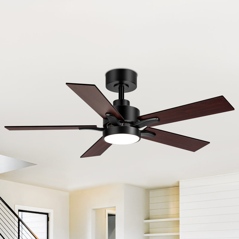 Ventilateur de plafond standard à DEL à 5 pales de 42 po avec télécommande et ensemble d'éclairage inclus Jeason, Noir, Brun