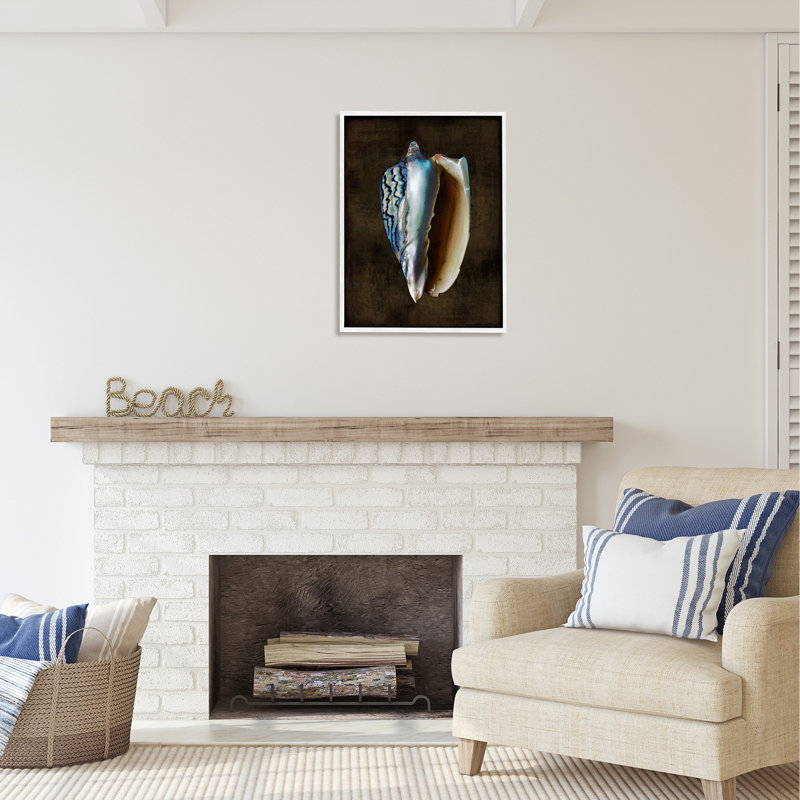Bb-351 - Encadré de conque foncé encadré sur bois par Caroline Kelly, Giclée encadrée blanc bord de mer