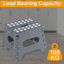 Plastic Step Stool