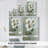 White Fancy I -Gallery Wrapped Cavas-1972985434