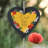 Enright Poppy Dad Always on My Mind Memorial Plaque