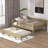 Haylyn Full Platform Bed with Trundle-442321769