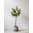Faux Lemon Tree Resin-711381943