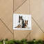 Border Collie Couple, Border Collie-840977118