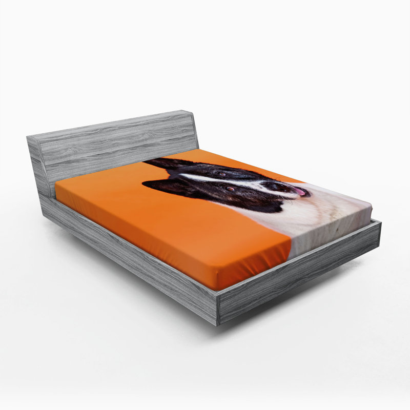 Microfiber Fitted Sheet, Queen Fitted Sheet