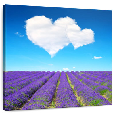 Alvord Lavender Field Love