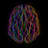 Abstract Human Brain-306597622