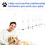Système de dressage ajustable pour chien agile - tiges et boîte de rangement Améliorez l’être physique du chien. Portable et léger. Entièrement configuré. Améliorez la relation avec votre animal de compagnie. Polypropylène blanc.