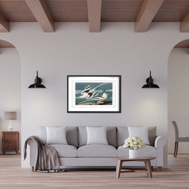 Nature Inspired Tropic Bird From Birds Of America (1827), 16" H x 24" W
