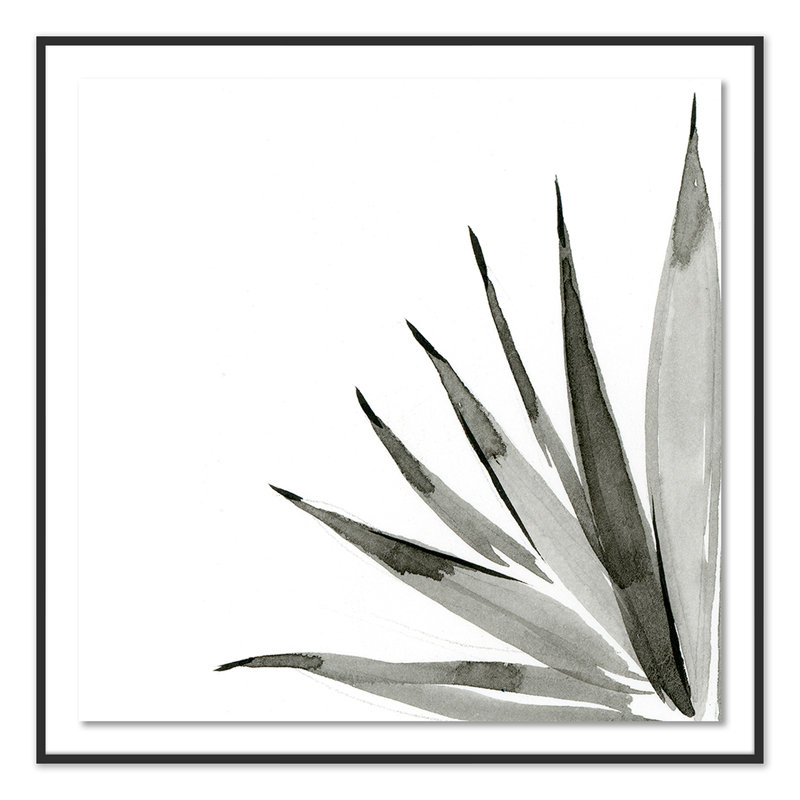 Agave I Print by Jess Engle, Black, 48" H x 48" W x 2.5" D