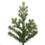 Eagle Fraser Lighted Artificial Fir Christmas Tree-319199298