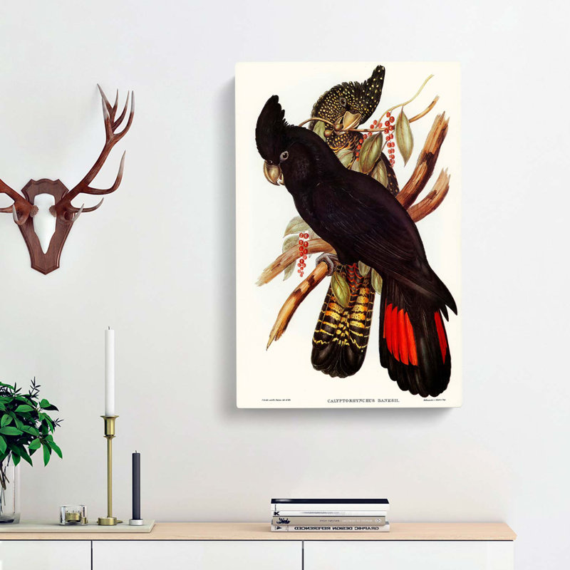 Banksian Cockatoo by Elizabeth Gould - Wrapped Canvas Painting, 50cm H x 35cm W x 3cm D