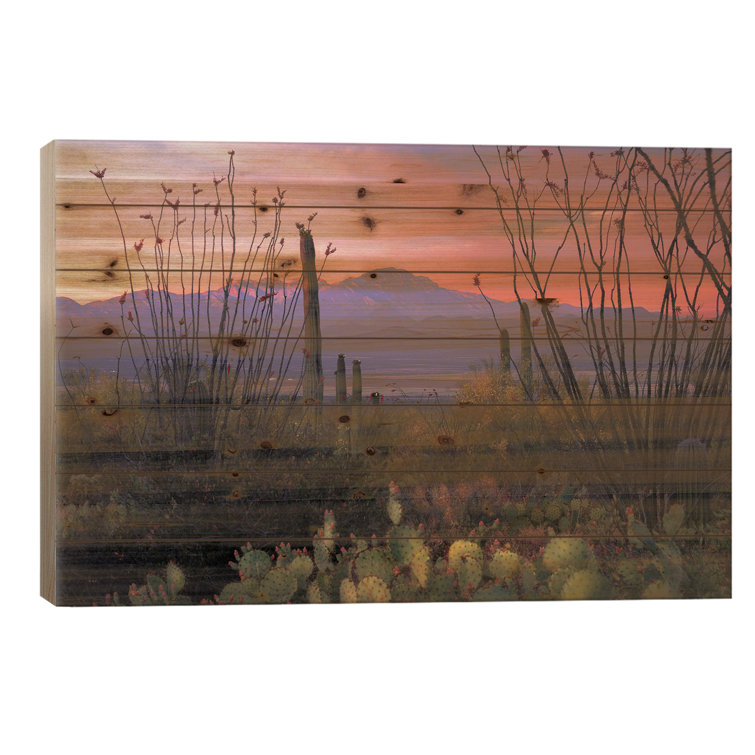 Union Rustic Shallen Desert Glow At Saguaro National Park On Wood by ...