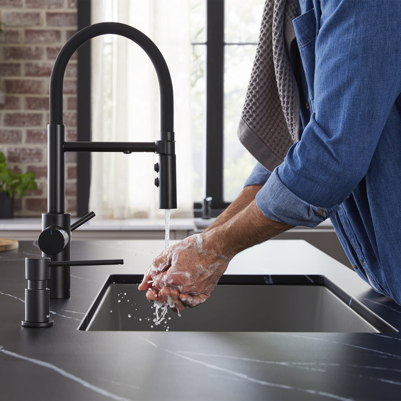 Catris Flexo Filter-Ready Semi-Pro Pull-Down Dual-Spray Kitchen Faucet - Matte Black, Matte Black