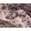Tapis traditionnel Vienna couleur blond-61945874