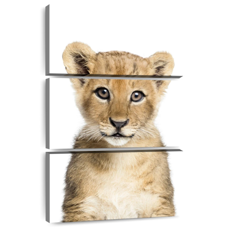 Adorable bébé lion Brampt, H 38 po x l 24 po