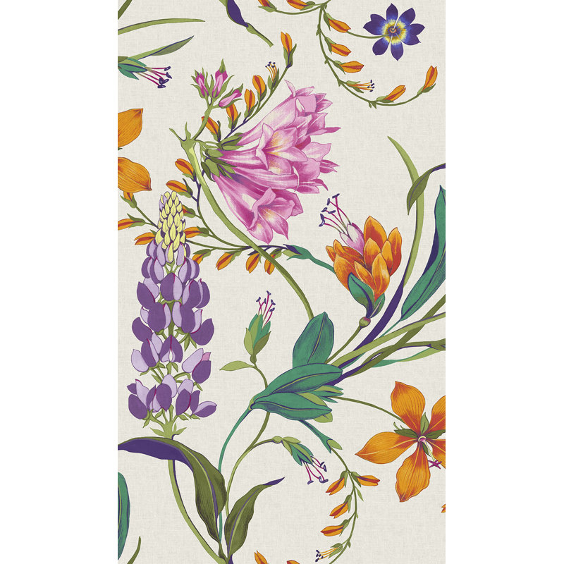 Graham & Brown Botanists Scroll Duck Egg Wallpaper, Pink