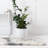 Indoor Rug-1195614456