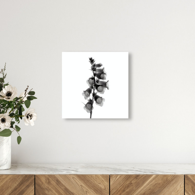 Ossified Petals II Print by Oliver Gal, 12"H x 12"W, High-Gloss Acrylic Print